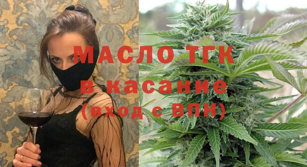 сатива Горнозаводск