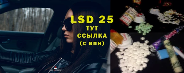 сатива Горнозаводск