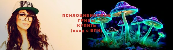 сатива Горнозаводск