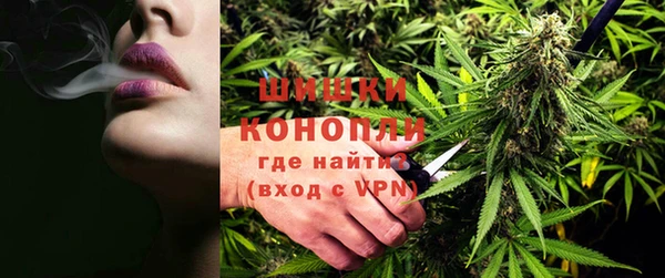 сатива Горнозаводск