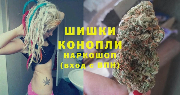 сатива Горнозаводск