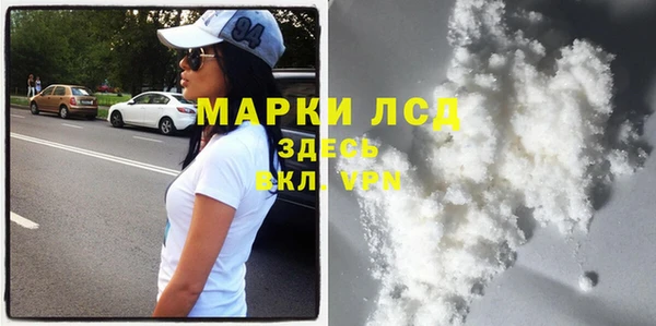 сатива Горнозаводск