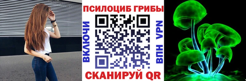 Галлюциногенные грибы Psilocybine cubensis  мега tor  Дубовка 