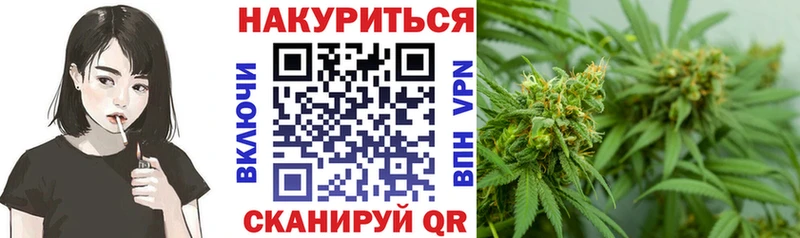 Бошки Шишки MAZAR  где можно купить   блэк спрут как войти  Дубовка 